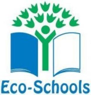 We have achieved our Bronze Eco Flag!
