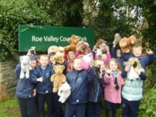 Primary 1 and 2 Teddy Bear Stroll and Vet Visit