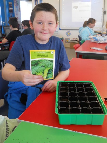 p7planting